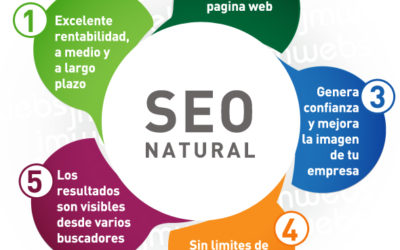 Estudio Posicionamiento Seo en Murcia