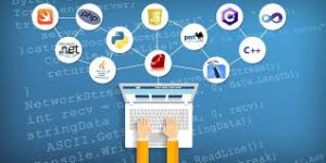 programadores web en Palmira