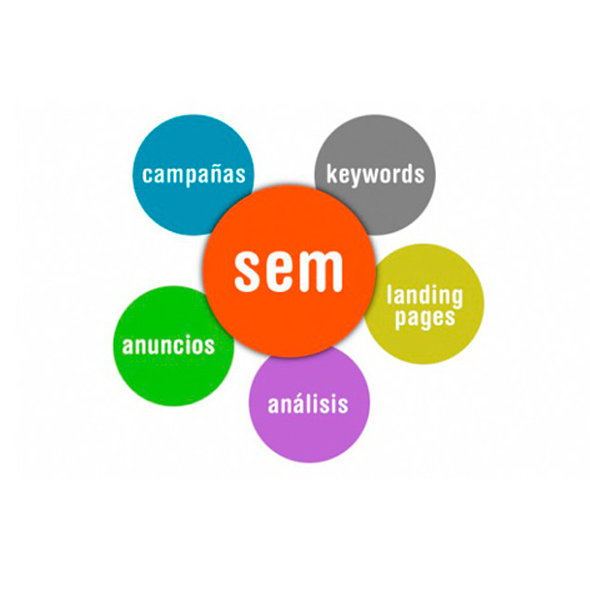 Empresa de posicionamiento Sem en Palmira