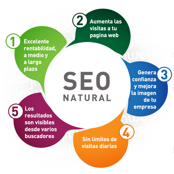 EMPRESA DE POSICIONAMIENTO SEO ECONÓMICO EN MURCIA