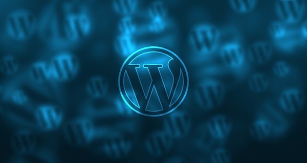 Programadores worpress en Murcia