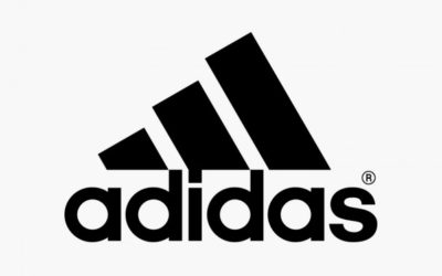 Diseño de logotipos para empresas en palmira
